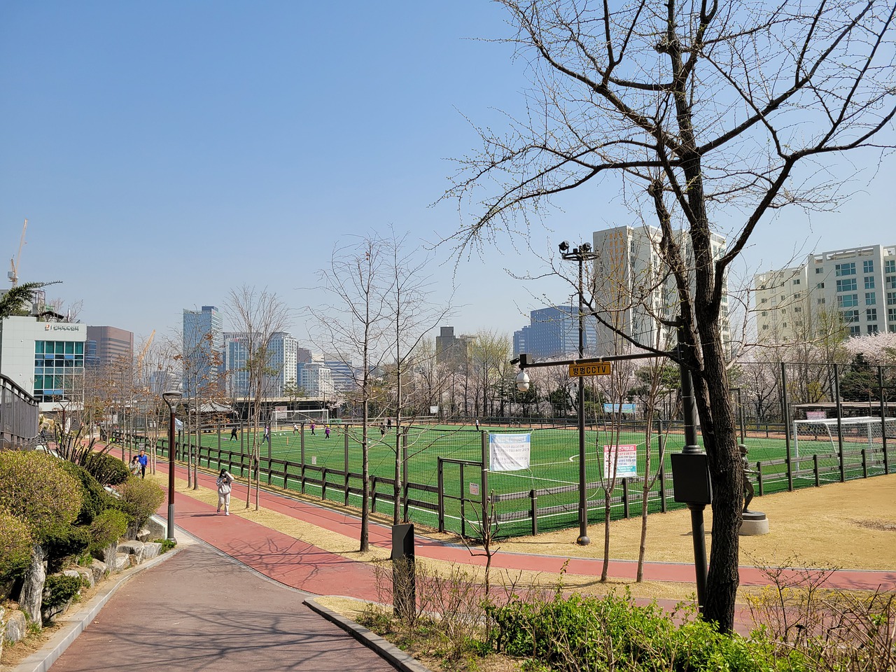 中学会面对