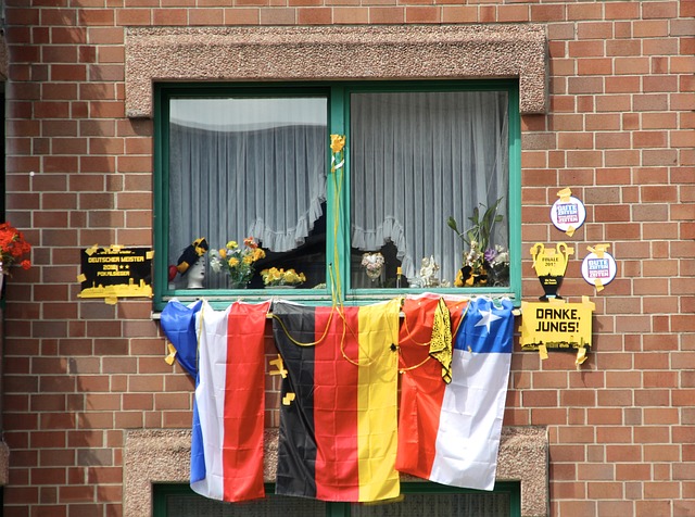 训练伙伴和 训练伙伴和